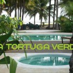 La Tortuga Verde