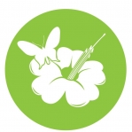 Green Point My Vegan Restaurant