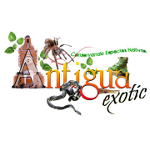 Antigua Exotic