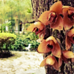 Hosteria & Spa La Sevillana