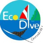 Eco Dive