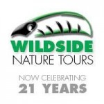 Wildside Nature Tours