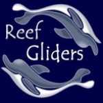 Reef Gliders