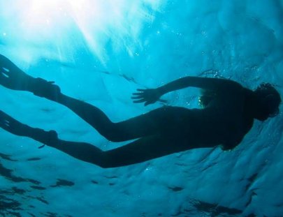 Explora el Mundo Submarino del Mar Caribe Panameño - Eco Circuitos Panama