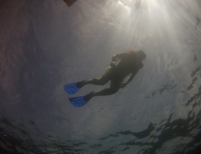 Silent World Divers-Aventura de Snorkel en las Islas Marietas