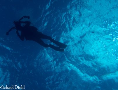 Tres Pelicanos Dive Center-Aprende a Bucear en Cozumel