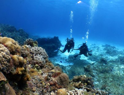 Bluedream Cozumel-Bucea el segundo sistema de arrecifes más grande del mundo