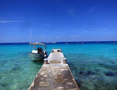 Bluedream Cozumel-Bucea el segundo sistema de arrecifes más grande del mundo