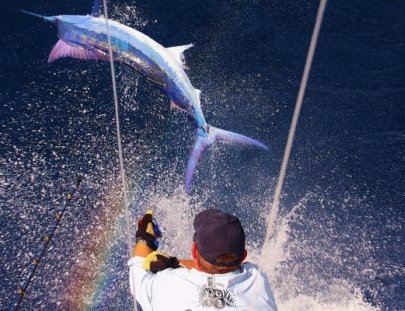 Master Baiter´s Sport Fisihig & Tackle -Una excursión de pesca en alta mar de dos dias