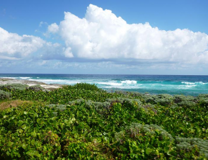 Chac Choc Tours-El tour favorito en bus por la isla Cozumel