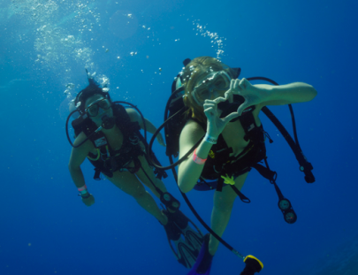 Explora el mundo submarino de Cozumel - Alex Scuba