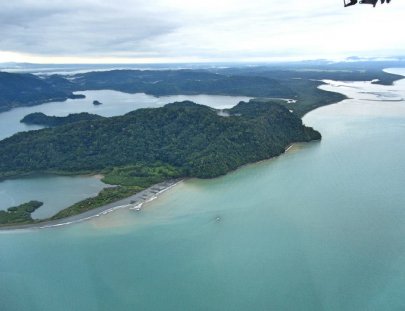  Crucero de un día a la Isla Tortuga - Tierra Verde Aventuras