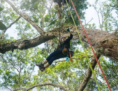 Tropical Tree Climbing-Un día completo para escalar los arboles tropicales en el bosque amazónico