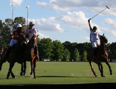 Polo Tours-Día Completo de Polo en Buenos Aires