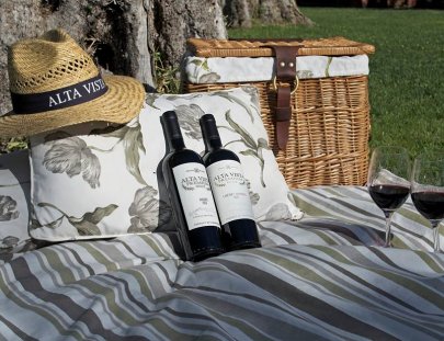 Bodega Alta Vista-Disfruta de un picnic en los viñedos de Altavista