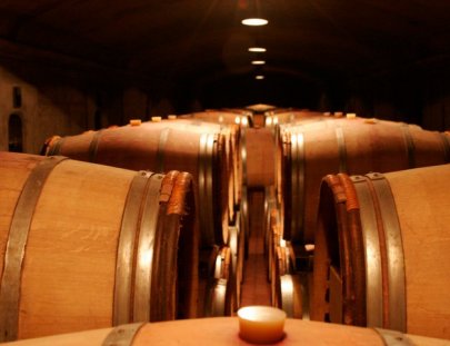 Sak Winetravel-En Bicicleta por las Bodegas de Vino de Mendoza