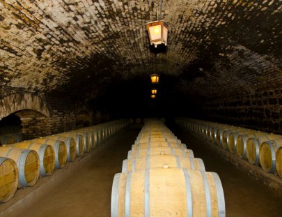 Concha Y Toro-Bodega legendaria cuenta la historia del vino más famoso de Chile 