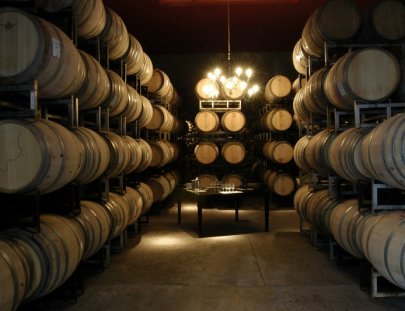 Tour guiado por expertos en bodega de vino - Bodega Tapiz