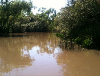 Unicotrip-Día de Pesca en el Río Paraná