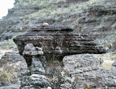 Nativa Tours Khasen-Excursión y campamento en el más alto de los tepuyes de Venezuela