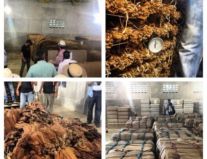 Cigar Country Stores-Tours en fábricas de cigarros en la República Dominicana