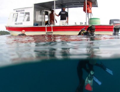 Scuba Coiba-Tour de Buceo de Varios Días en Isla Coiba