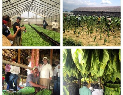 Cigar Country Stores-Tours en fábricas de cigarros en la República Dominicana