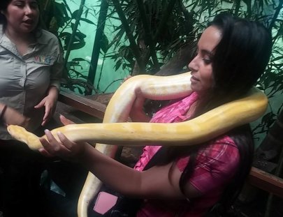 Selva Viva-Visite la Selva Tropical Ambientada en Santiago 