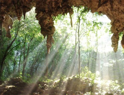 Camina a través del Bosque Lluvioso y las Cuevas de Tanama - Tanama Tours