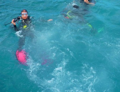 Adventure Discovery-Clase PADI de Introducción al Buceo