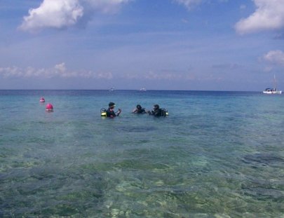 Adventure Discovery-Clase PADI de Introducción al Buceo