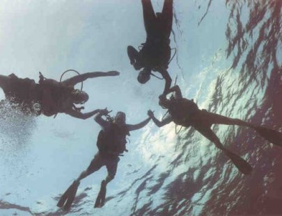 Adventure Discovery-Clase PADI de Introducción al Buceo