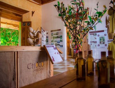 Chocomuseo Granada-Taller y Masajes de Chocolate