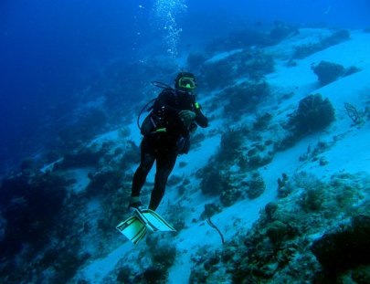 Chucho Underwater-Bucea con un experto en las aguas de Cozumel