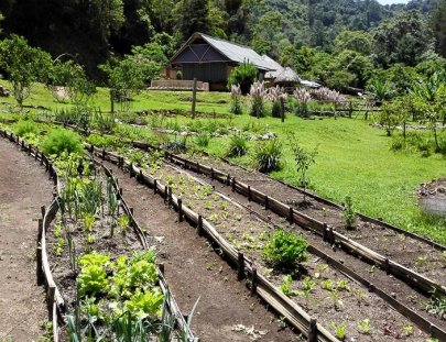 Santuario Natural El Tular-Un santuario ecológico donde aprender nuevas habilidades