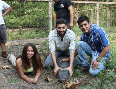 Antigua Exotic-¡Conoce reptiles y animales exóticos en este tour! 