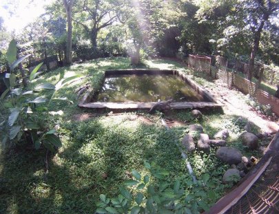 Antigua Exotic-¡Conoce reptiles y animales exóticos en este tour! 