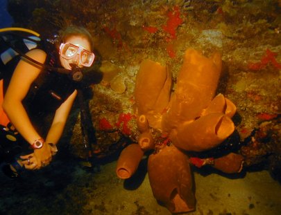 Cozumel Marine World-Discover Scuba Diving