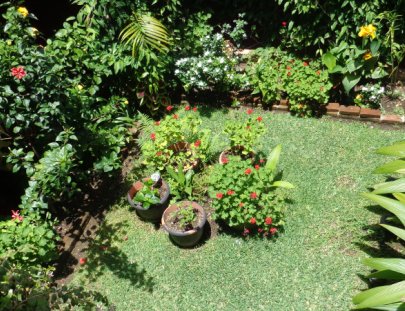 Hotel Camelias Inn-Gran pequeño hotel ubicado en el corazón de la Antigua Guatemala