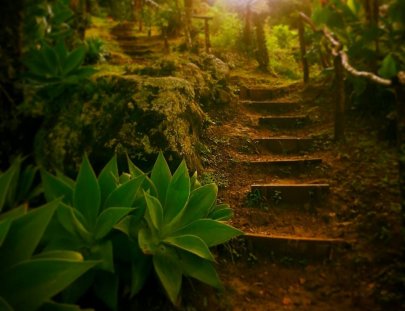 Earth Lodge-El mejor hotel de montaña en Guatemala!