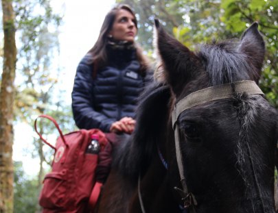 ¡Aprende a montar caballo! - Equestours