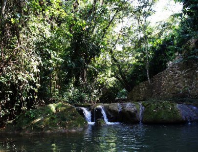 Greengo´s Hotel-Disfrute un ambiente natural en  Greengo´s Hotel