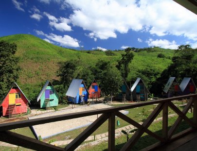 Disfrute un ambiente natural en  Greengo´s Hotel - Greengo´s Hotel