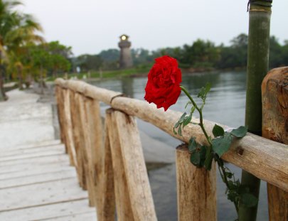 Hotel Amatique Bay Resort & Marina-Un Paraíso en el Caribe Guatemalteco