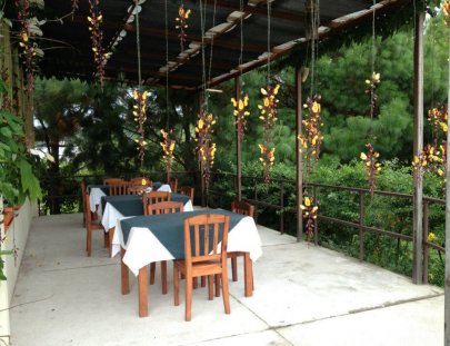 Descanso Entre la Flora y Fauna de Coban - Hotel Casa Gaia