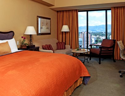 Hotel Real Intercontinental-Un Hotel de lujo con espectaculares vistas