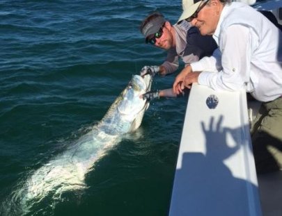 Parlama Sport Fishing-Disfruta 1 día pescando pez vela en el Pacífico