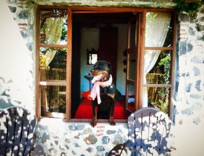 Posada Schumann-Disfrutar en San Marcos de la brisa refrescante de la tarde en el lago