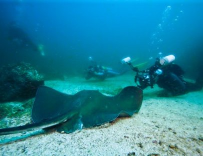 Scuba Coiba-Tour de Buceo de Varios Días en Isla Coiba