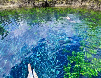 Travesías - Petén-Conoce y nada en El Cráter Azul, una reserva natural y jardín subacuático, Sayaxché Petén